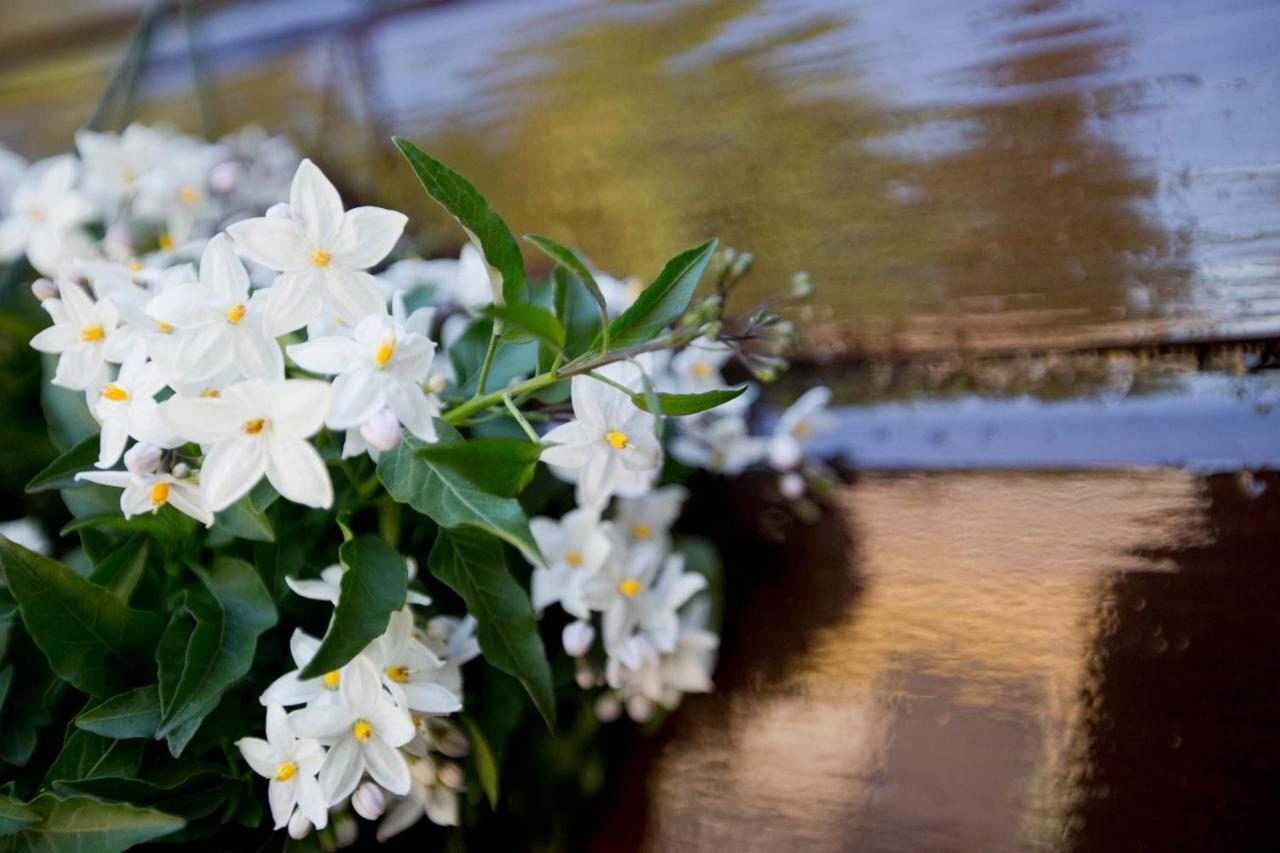 Relaxed Verblijf In Chalet Op De Veluwe Villa พุทเทิน ภายนอก รูปภาพ